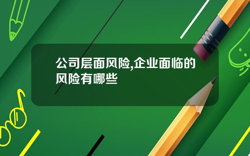 公司层面风险,企业面临的风险有哪些