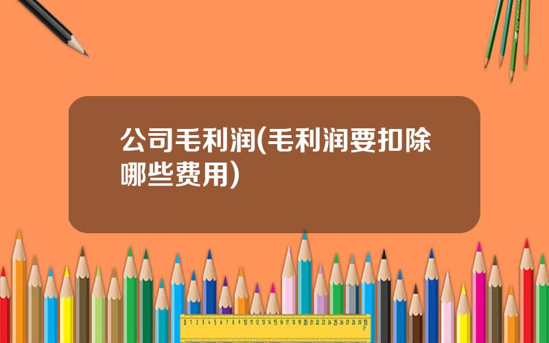 公司毛利润(毛利润要扣除哪些费用)