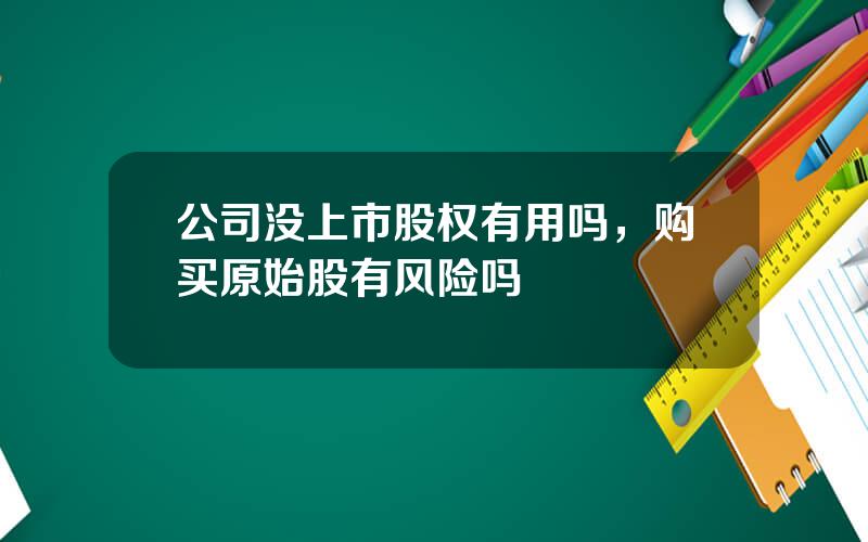 公司没上市股权有用吗，购买原始股有风险吗