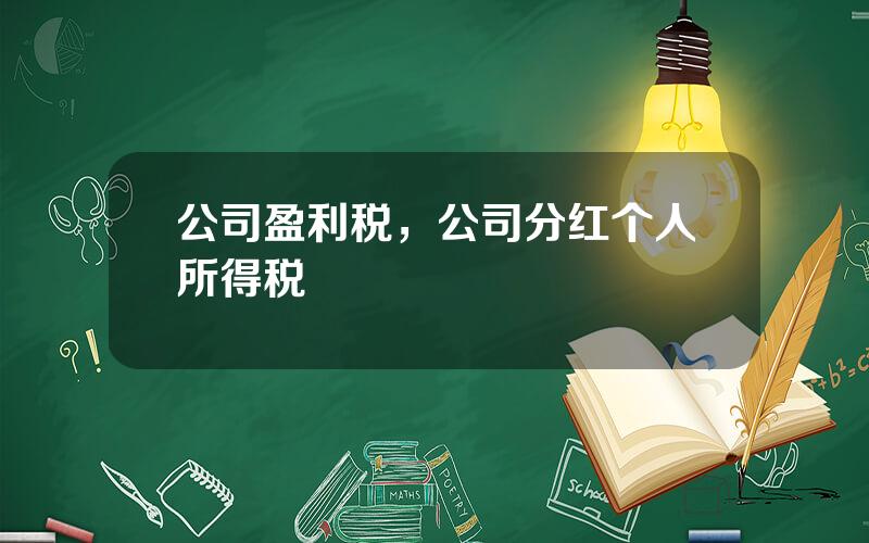 公司盈利税，公司分红个人所得税