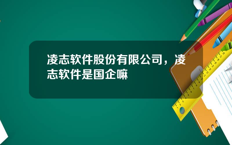 凌志软件股份有限公司，凌志软件是国企嘛