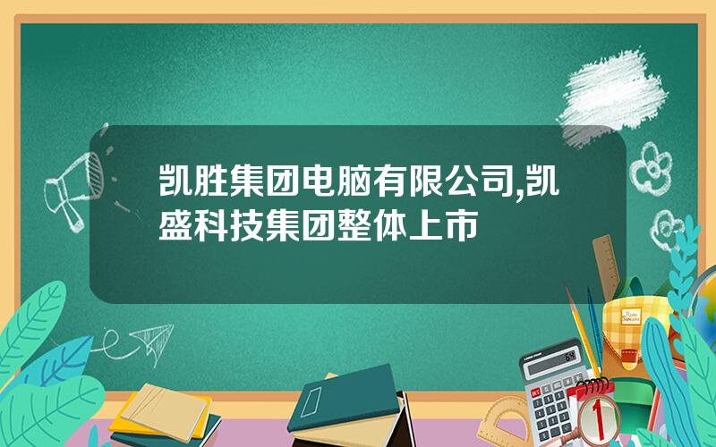 凯胜集团电脑有限公司,凯盛科技集团整体上市