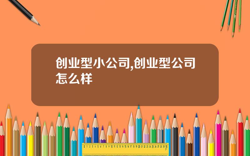 创业型小公司,创业型公司怎么样