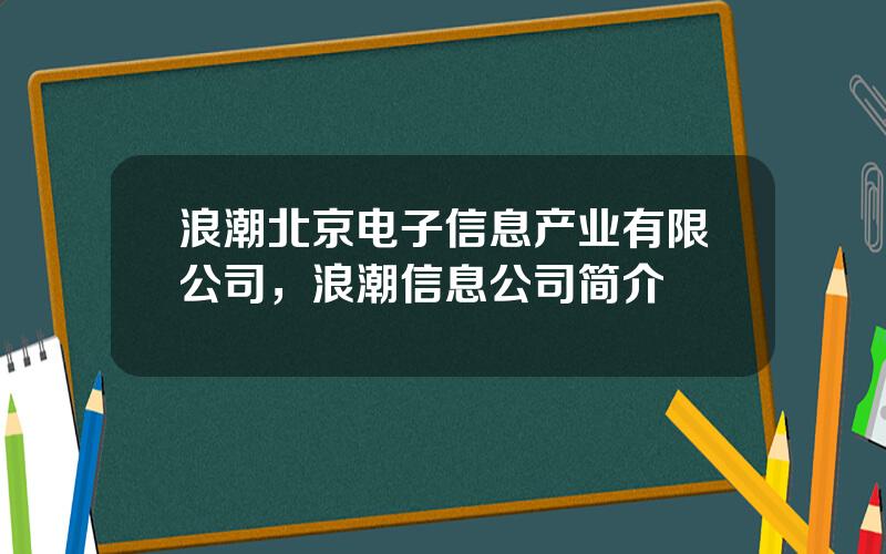 浪潮北京电子信息产业有限公司，浪潮信息公司简介
