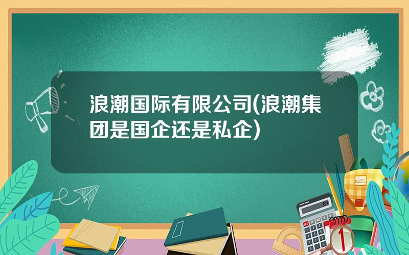 浪潮国际有限公司(浪潮集团是国企还是私企)