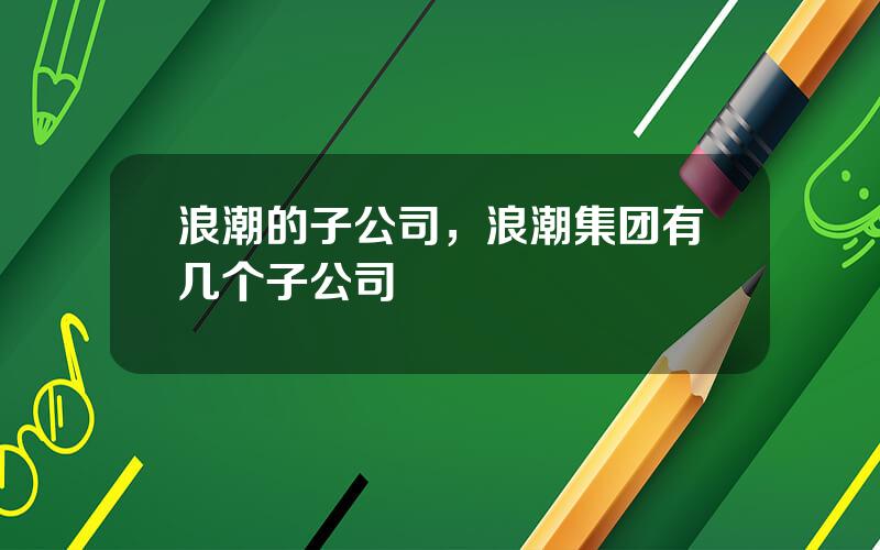 浪潮的子公司，浪潮集团有几个子公司