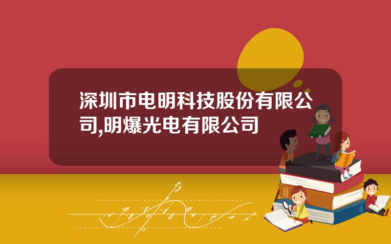 深圳市电明科技股份有限公司,明爆光电有限公司