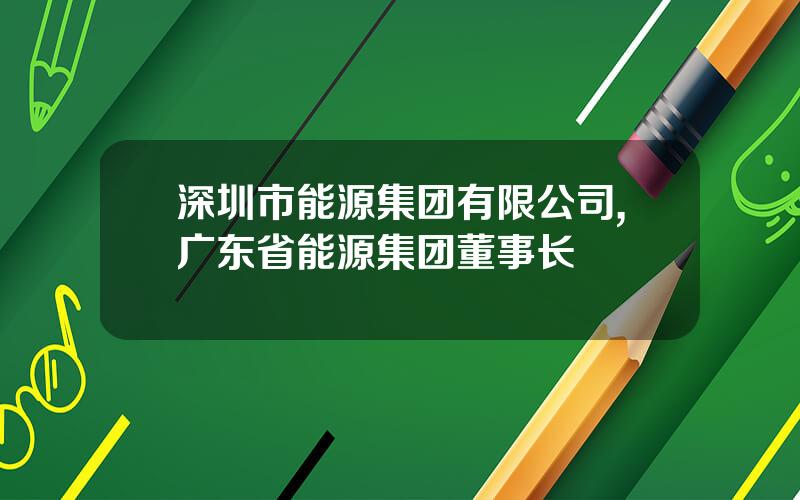 深圳市能源集团有限公司,广东省能源集团董事长
